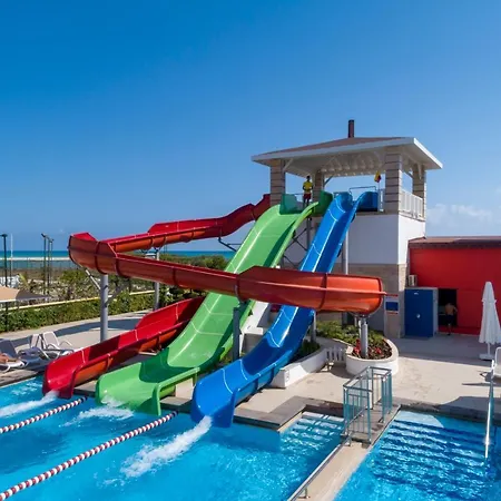 Orange County بيليك